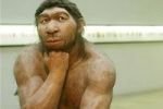 Неандертальцы умели разговаривать не хуже людей
