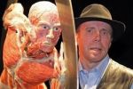 Художник откроет онлайн-продажу мумифицированных трупов