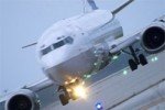 В Новосибирске из-за столкновения с коршуном экстренно сел самолет