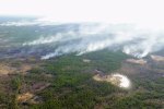 Площадь лесных пожаров в Сибири приблизилась к 2 тыс га