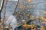 После разносов лесные пожары в Братске тушат "всем миром". Задержаны четыре поджигателя