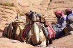 В Египте бедуины похитили двух бразильянок