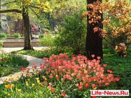 Весенний фестиваль цветов в Ботаническом саду МГУ Аптекарский огород