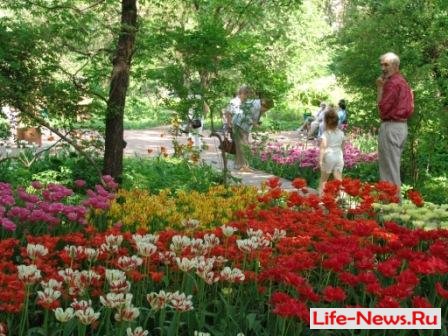 Весенний фестиваль цветов в Ботаническом саду МГУ Аптекарский огород