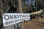 В Жуковском задержали противников вырубки Цаговского леса