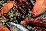Экспорт российских рыбных ресурсов следует ограничить