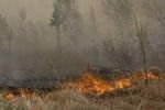 В Забайкалье бушуют лесные пожары