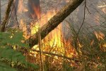 Пожарная опасность в лесах Республики Бурятии, Забайкалья и Иркутской области