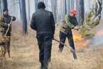 Площадь лесных пожаров в Сибири растет