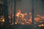 Лесные пожары свирепствуют в Сибири