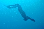 В ходе поисков вододазы-глубоководники нашли пропавших в акватории Новороссийского порта дайверов