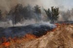 Ландшафтные пожары в Волгоградской области, есть жертвы