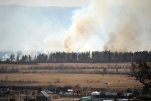 Площадь лесных пожаров в Сибири сокращается 