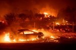 Калифорния: рай превратился в ад