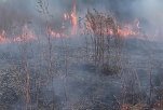 Площадь пожаров в Сибири растет