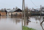 Новгородская, Костромская, Вологодская и Тверская области: вода ушла, проблемы остались